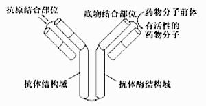 南洋东华公司研发了两种石油降解产品bdb n生物降解菌 厌氧型 和bdb a生物降解菌 好氧型 ,降解菌是通过产生酶对石油进行分解的 如图为不同条件下,某种降解菌对某湖泊污泥中石油分解能力的测定结果